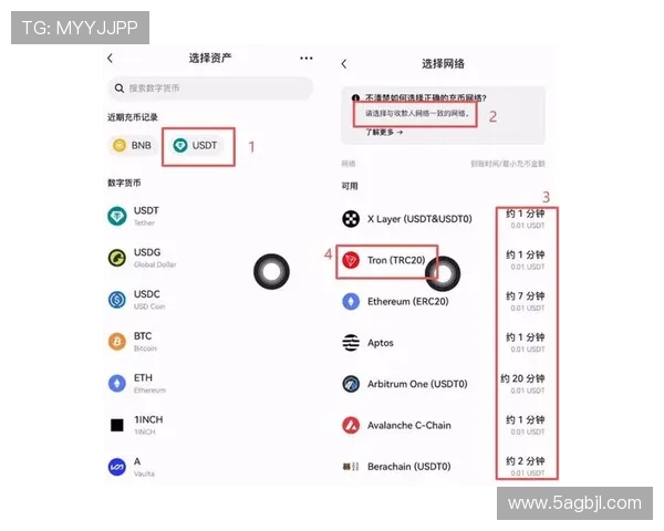 选择安全可靠的USDT提现平台，轻松实现数字资产变现